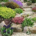 Comment créer une rocaille de plantes ?