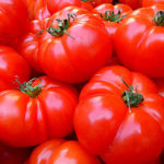 Tout savoir sur la tomate